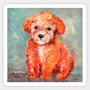 Toy Poodle Sticker